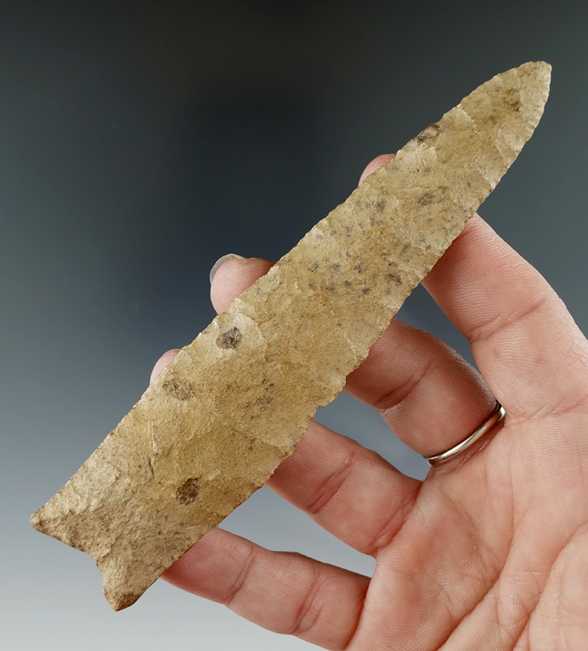 5 1/16" Dalton - Sugar Quartz with very nice flaking. Found in East Texas.2 COAs.