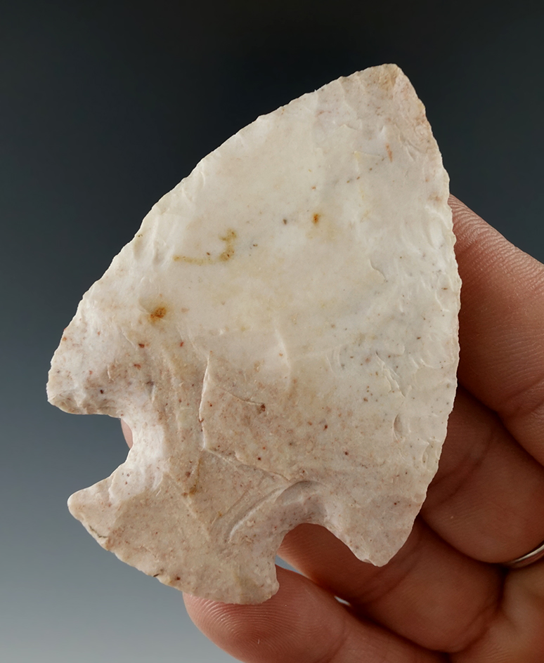 2 11/16" Snyders made from Burlington Chert, found in Jackson Co., Illinois. Dickey COA.