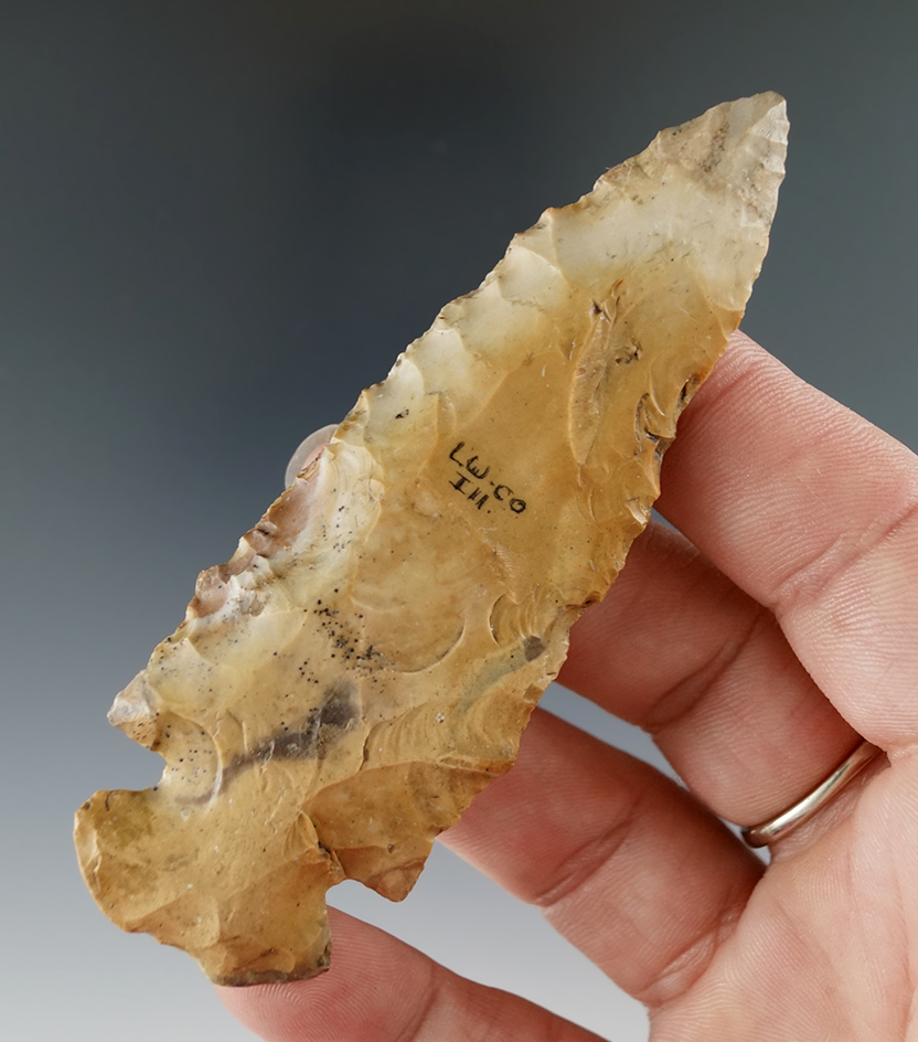 3 9/16" Notched Base Dove Tail -colorful material. restored 1/2" of tip.  Lawrence County Illinois.