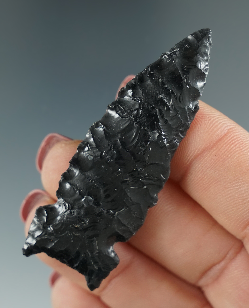 2 1/4" Northern Sidenotch Fox Ear made from Obsidian. Found in the Great Basin, OR.