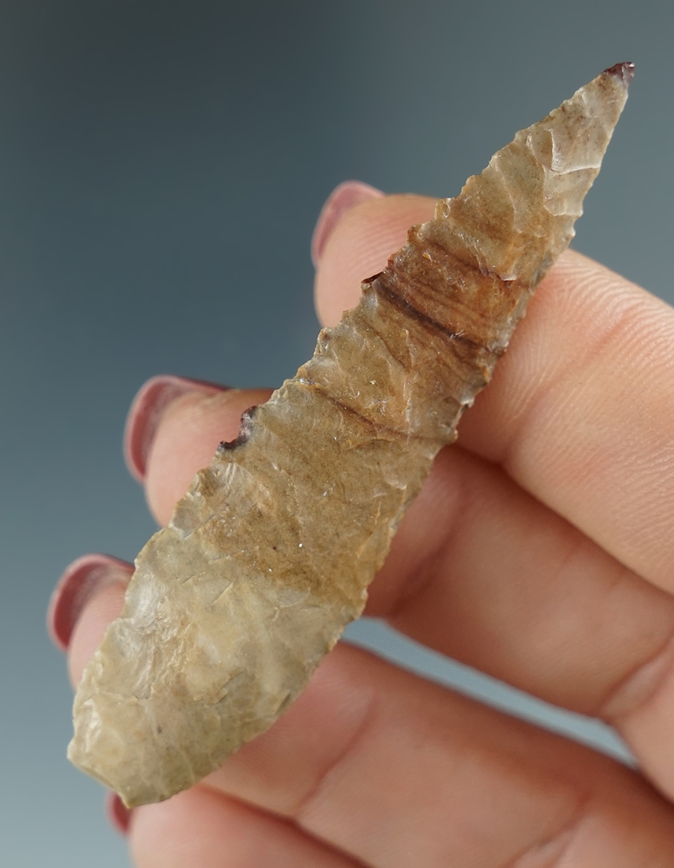 2 1/2" Cascade Leaf with nice serrations - maroon and gray Jasper. Columbia River, OR. Pictured