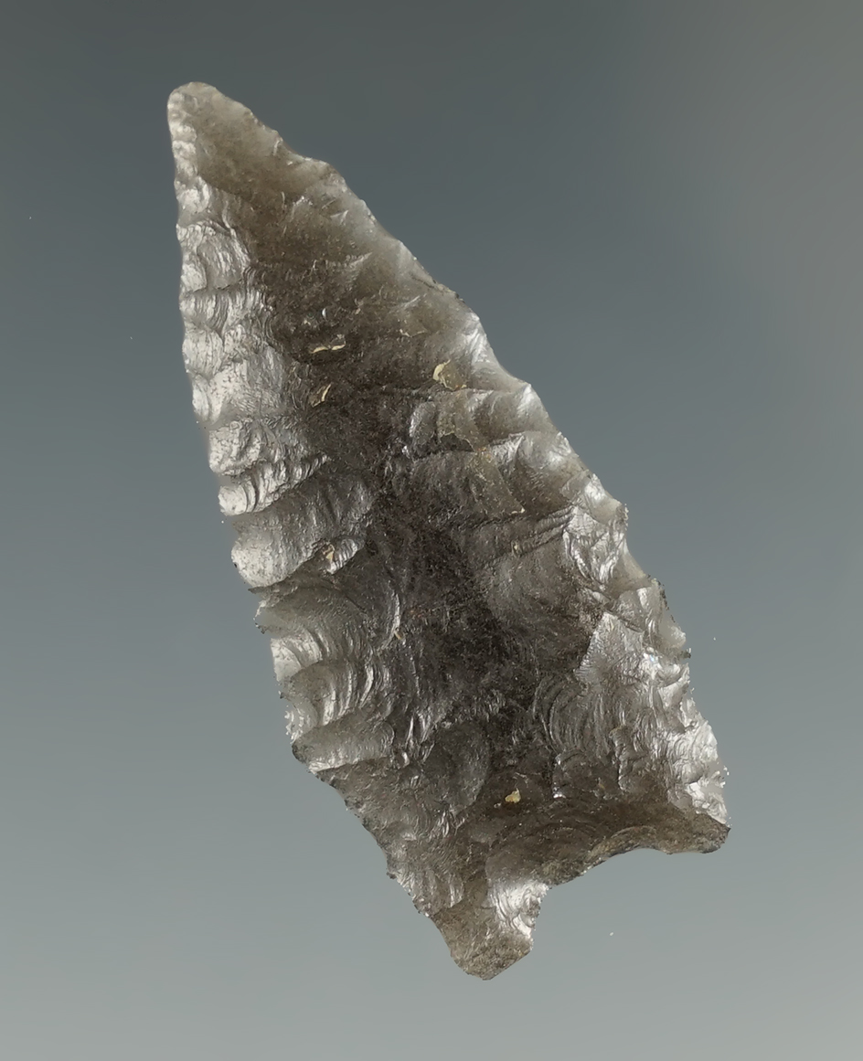 1 5/8" Humboldt Constricted Base - translucent Obsidian. Found in the Great Basin, OR. Pictured!