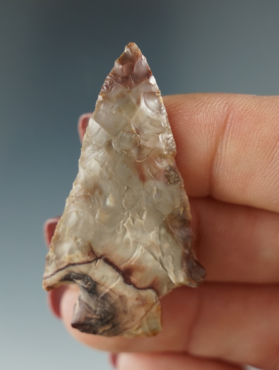 1 3/4" Cornernotch made from brown and gray Jasper. Found near the Columbia River, OR.