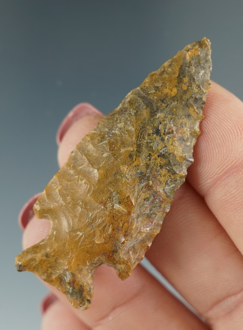 2" Diagonal notch made from yellow and brown Jasper. Found near the Columbia River, OR.