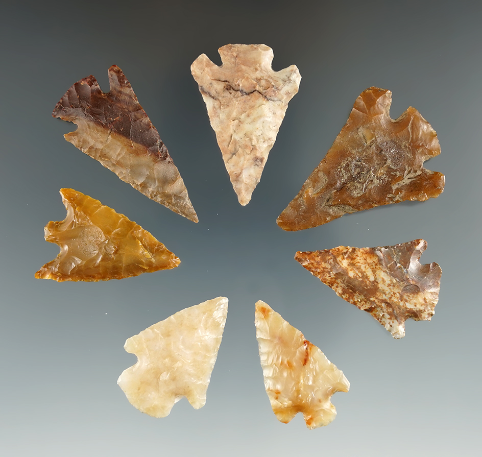 Seven Quilomene Bar Points, longest is 1 5/8". Found near the Columbia River, OR.