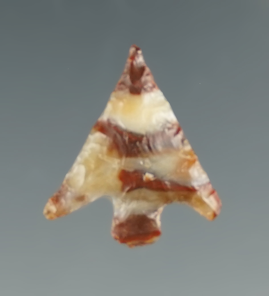 3/4" Wallula Gap - brown and white Agate.  Columbia River, OR. Pictured in Overstreet 10.