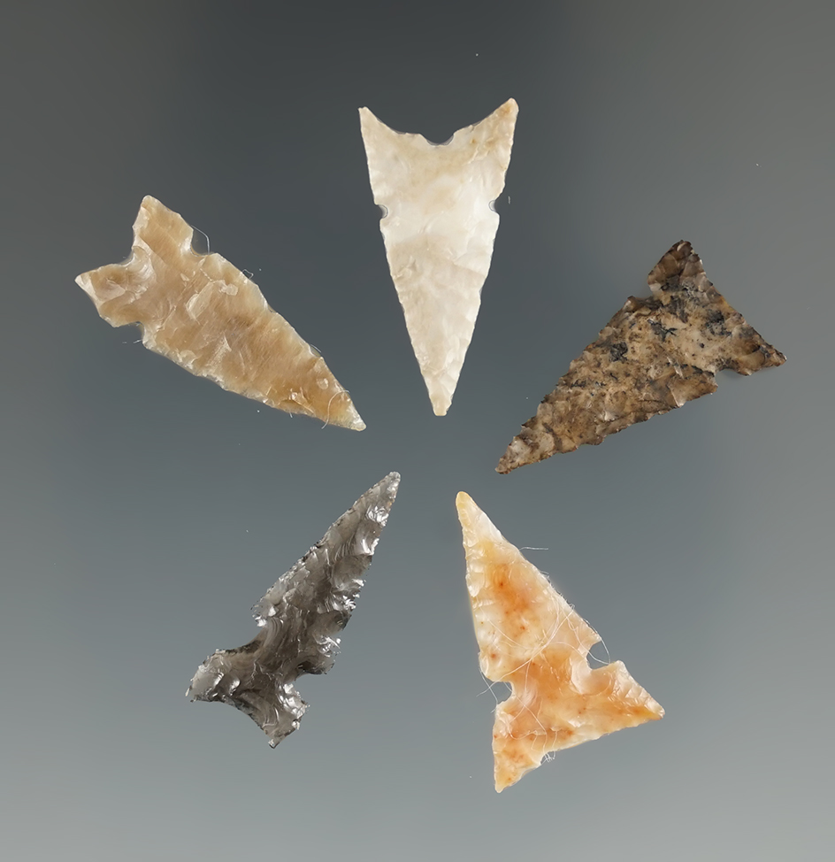 Five Sierra Sidenotch Points. Longest is 7/8". Found near the Columbia River, OR.