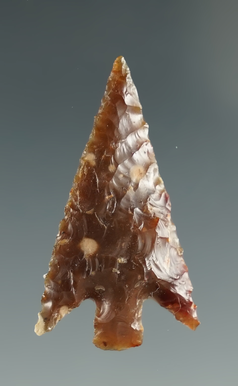 1 3/16" Columbia Plateau made from brown Agate "Gem". Found near the Columbia River, OR.