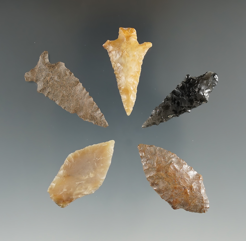 Five Columbia River Points. Longest is 1 1/2". Found near the Columbia River, OR.