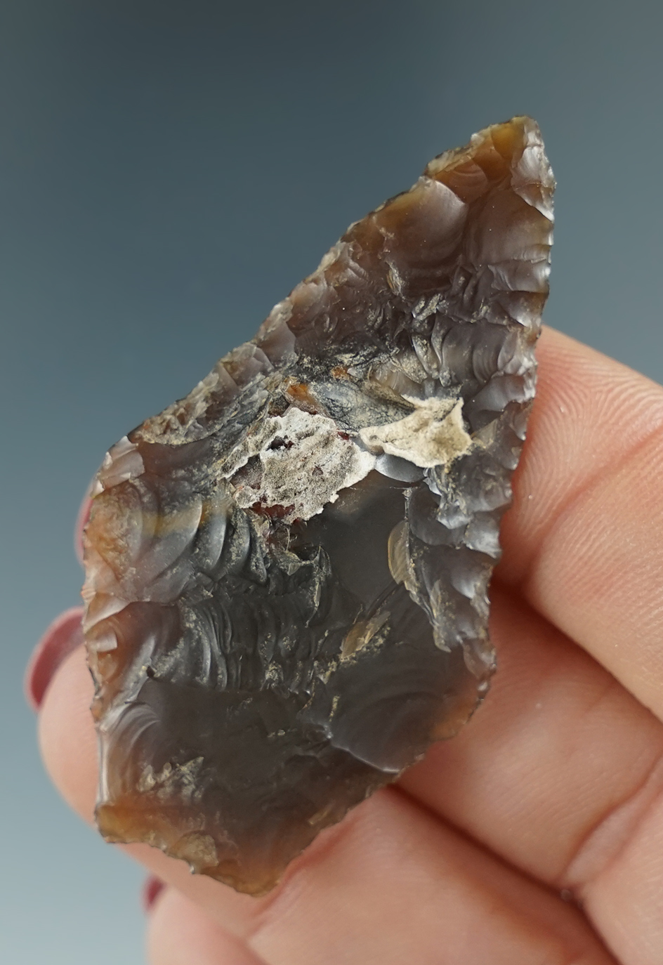 2 3/16" Shouldered Knife made from translucent root beer Agate. Columbia River, OR.