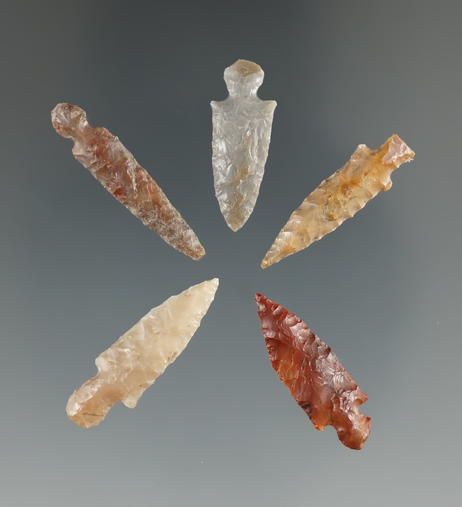 Five very nice Klickitat Dagger Points. Longest is 1". Found near the Columbia River, OR.