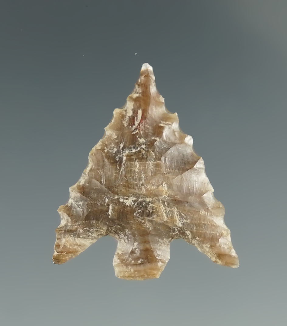 13/16" Columbia Plateau Serrated made from gray Agate. Found near the Columbia River, OR.