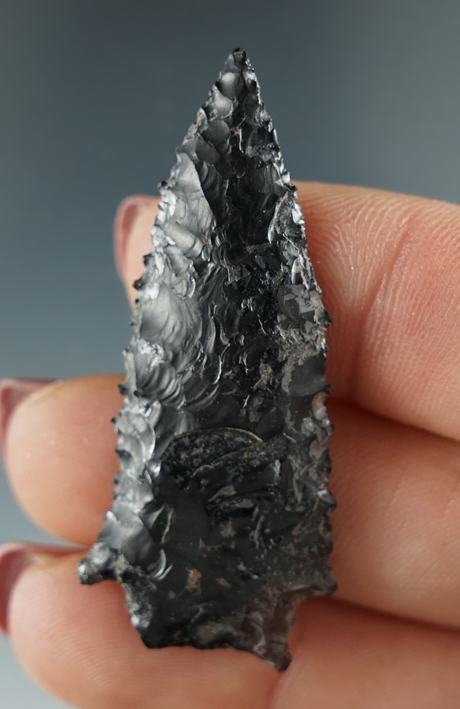 1 13/16" serrated Cornernotch made from black Jasper. Found near the Columbia River, OR.