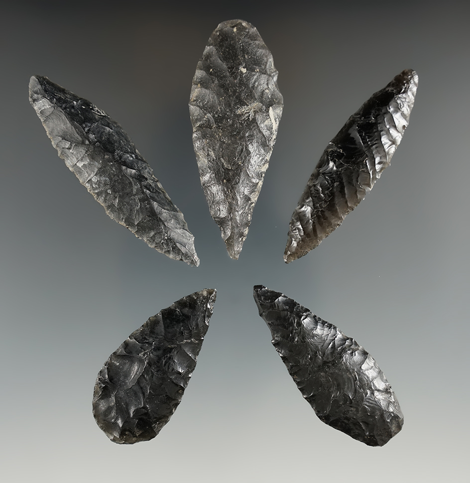 Five Cascade Leaf Blades made from Obsidian. Longest is 2 1/2". Found in the Great Basin, OR.