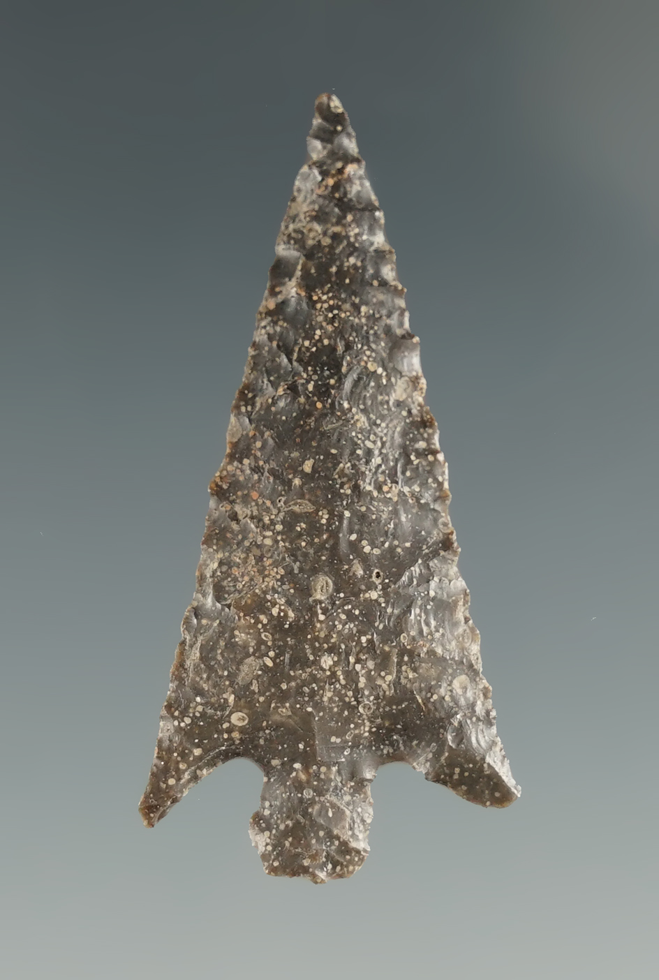 1 3/8" Columbia Plateau made from brown Jasper. Found near the Columbia River, OR.