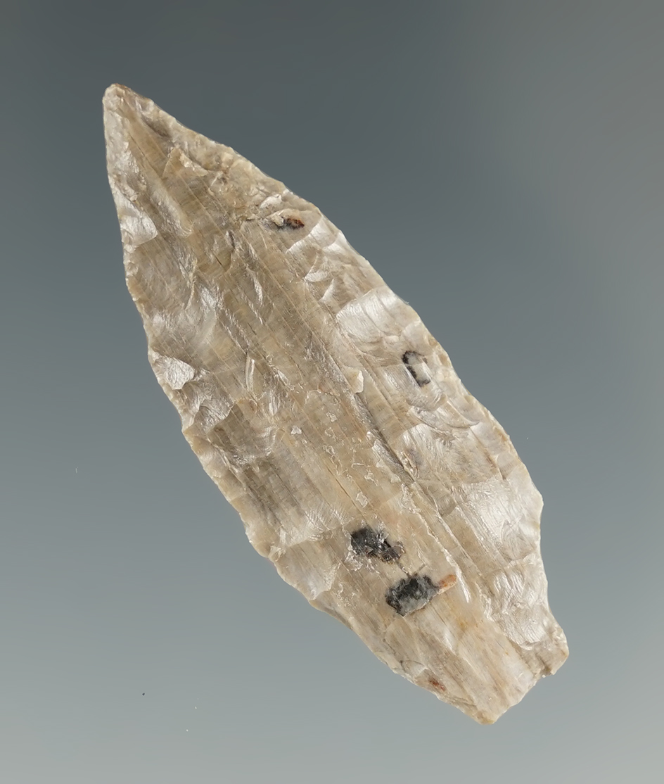 1 13/16" Stemmed Point made from gray petrified wood. Found near the Columbia River,  OR.