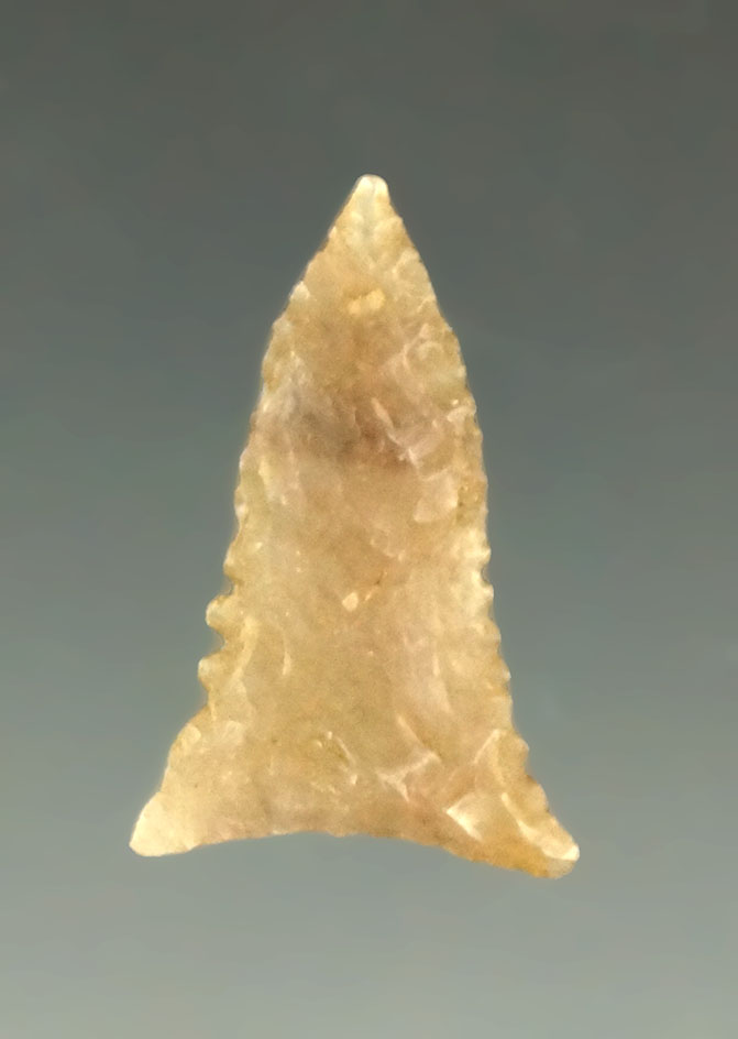 7/8" well styled serrated Talco point found in Texas.
