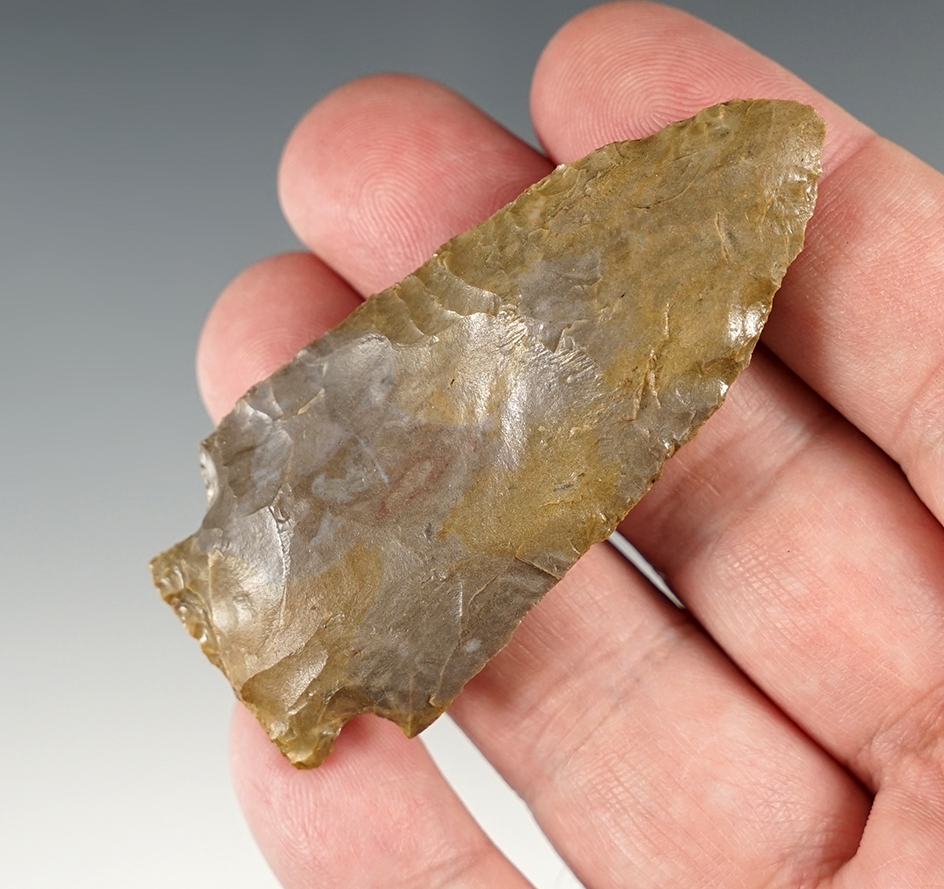 2 11/16" Tennessee Benton. A substance applied to the surface to show off the colors.