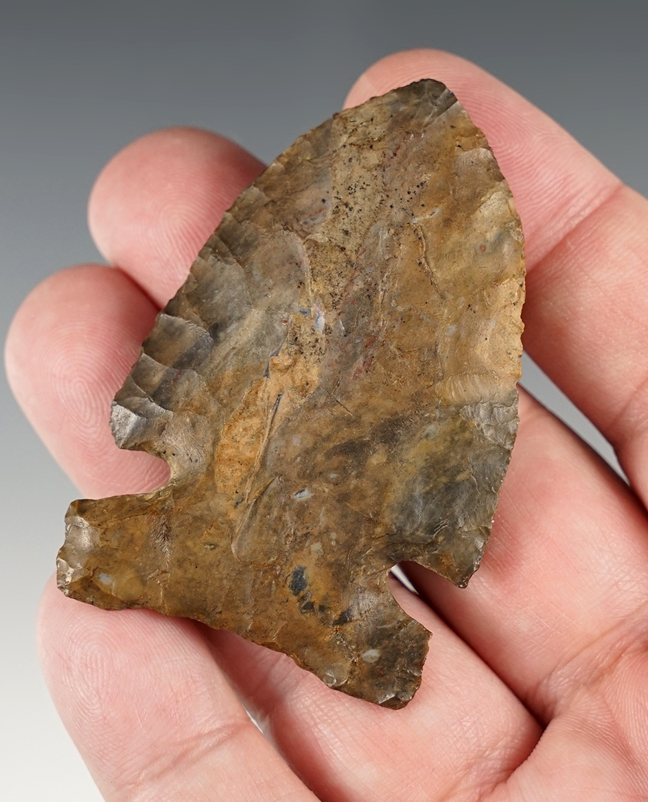 2 1/2" x 1 5/8" Wide Archaic Sidenotch or "Big Sandy". Made from beautiful Onondaga Flint. Ohio.