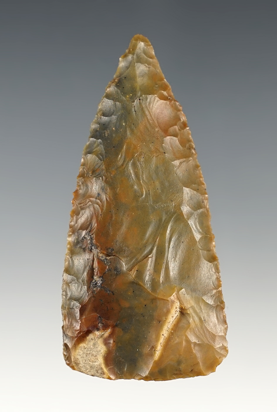 2 5/8" Multi-colored red, olive, and green Carter Cave Beveled Blade. Found in Mercer Co., Ohio.