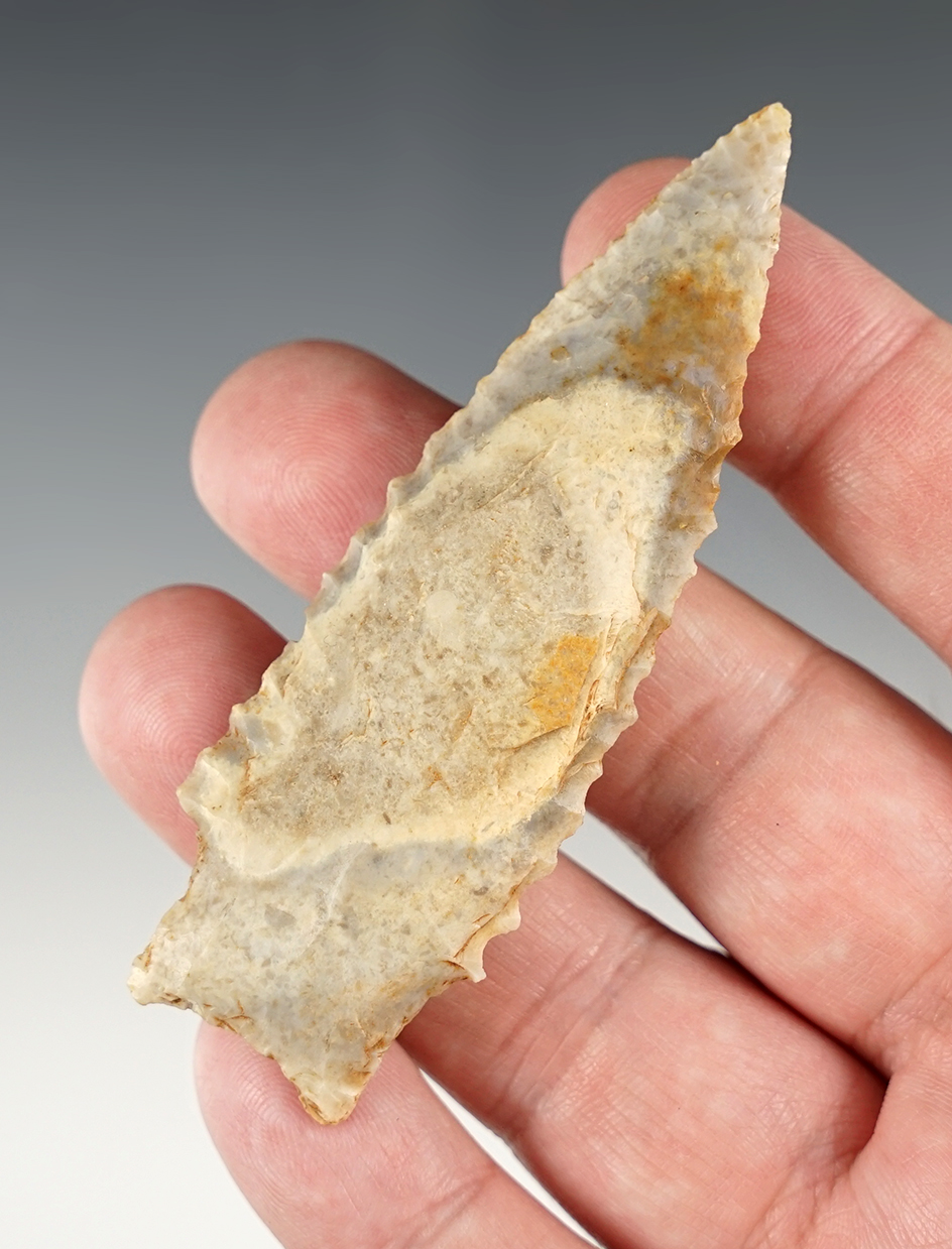 Exceptional 3 5/16" Serrated Kirk found in the Midwestern U.S.