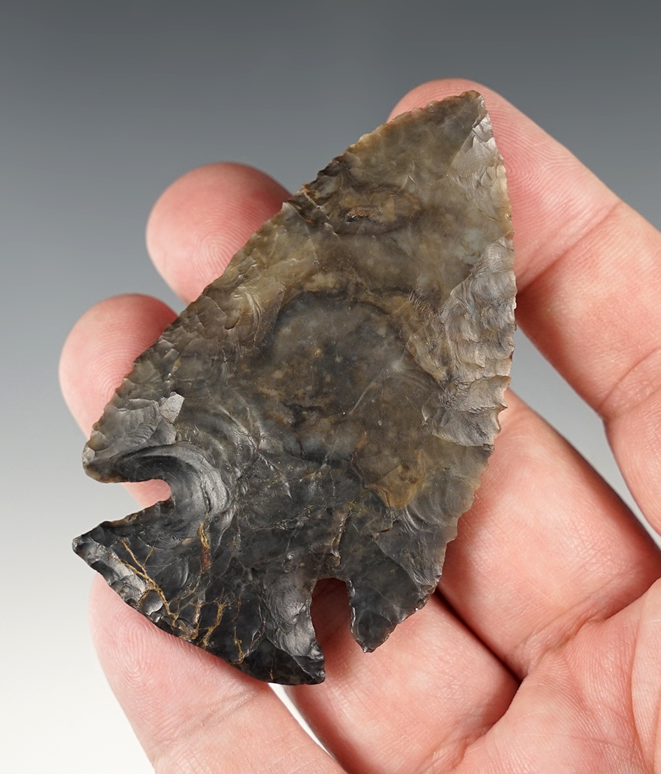 2 7/8" Absolutely beautifully chipped Archaic Bevel. Made of striking Flint Ridge. Found in Ohio.