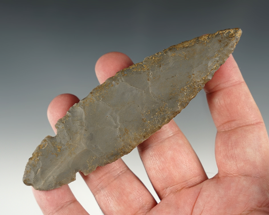 Outstanding 4 13/16" Turkeytail with excellent mineral deposits. Found in Breckinridge Co., KY.