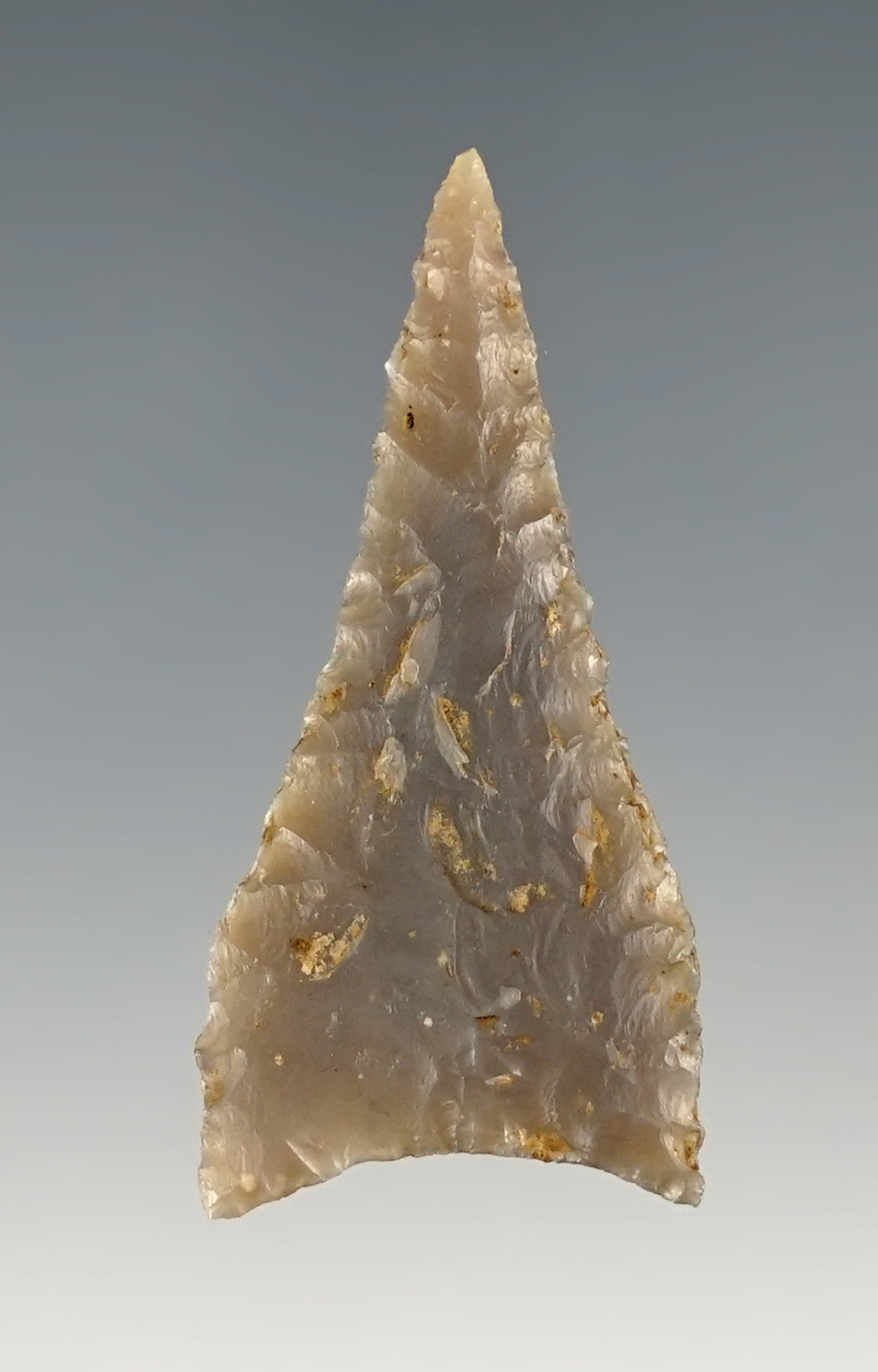 Thin and well made 1 1/2" Jacks Reef Pentagonal - Tennessee. Made from Knox chert. Ex. Tom Davis.