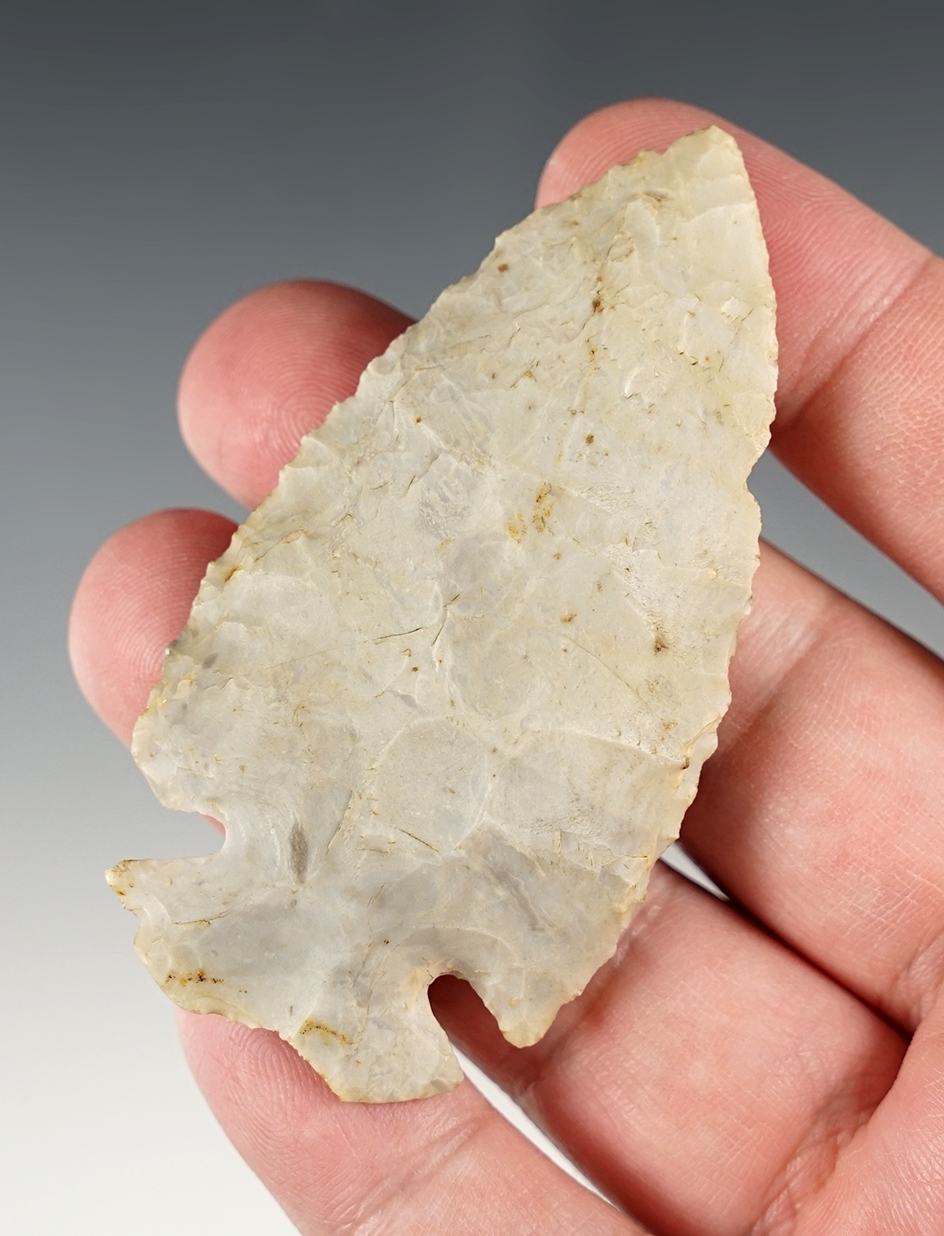 Well styled 3" Notch Base Dovetail found at the K-Mart Site in Zanesville, Muskingum Co., Ohio.