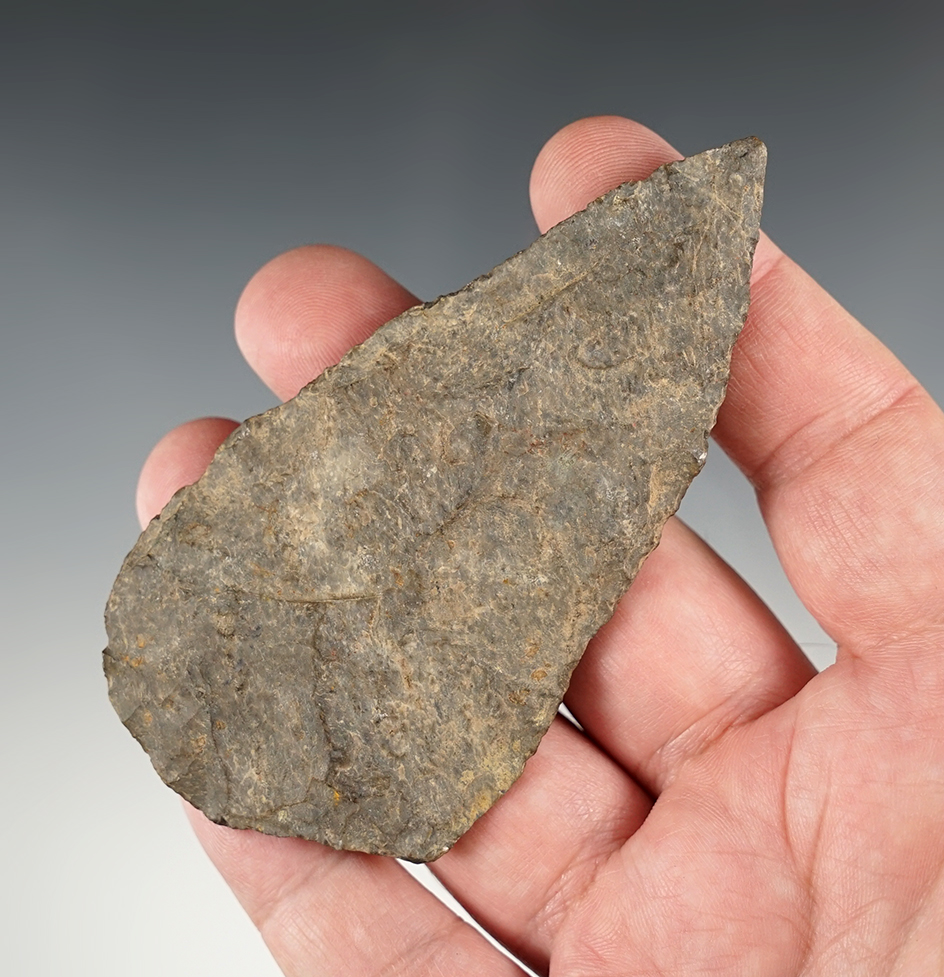 3 13/16" Northeastern Blade that is in nice condition. Comes with an early collectors cardboard tag.