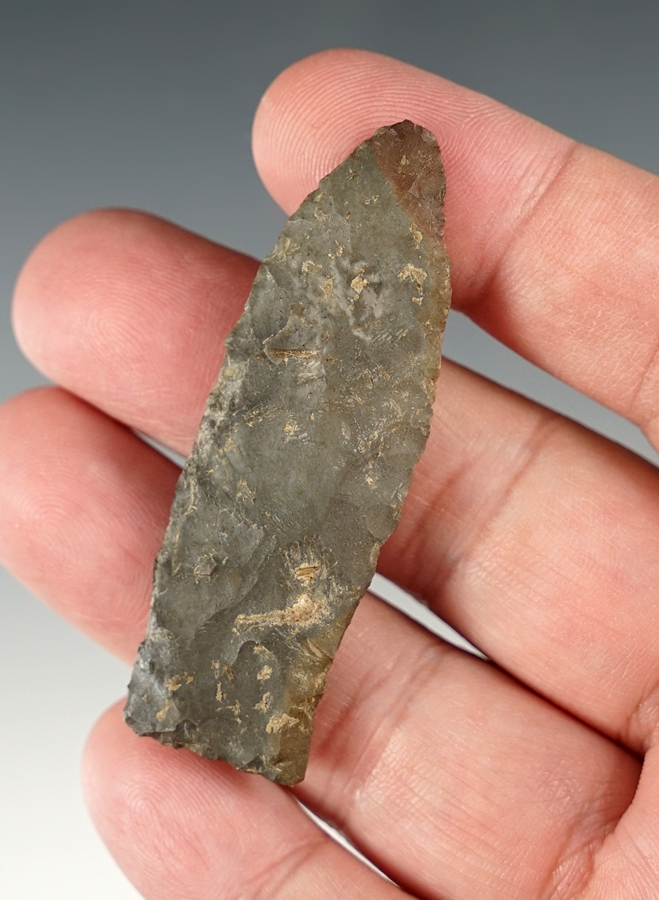 2 3/8" Lanceolate found in Pulaski Co., Kentucky, by J.R. Dalton.