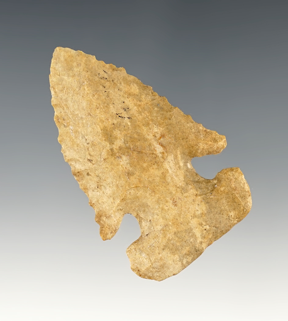 2 1/4" Tan Chert Archaic E-Notch Bevel. Found in Pickaway Co., Ohio.