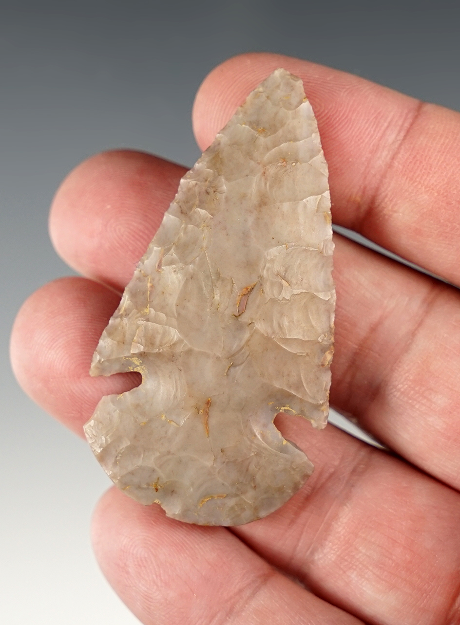 2 5/16" Flint Ridge Flint Dovetail found in Holmes Co., Ohio. Ex. Jack Hooks. Pictured!