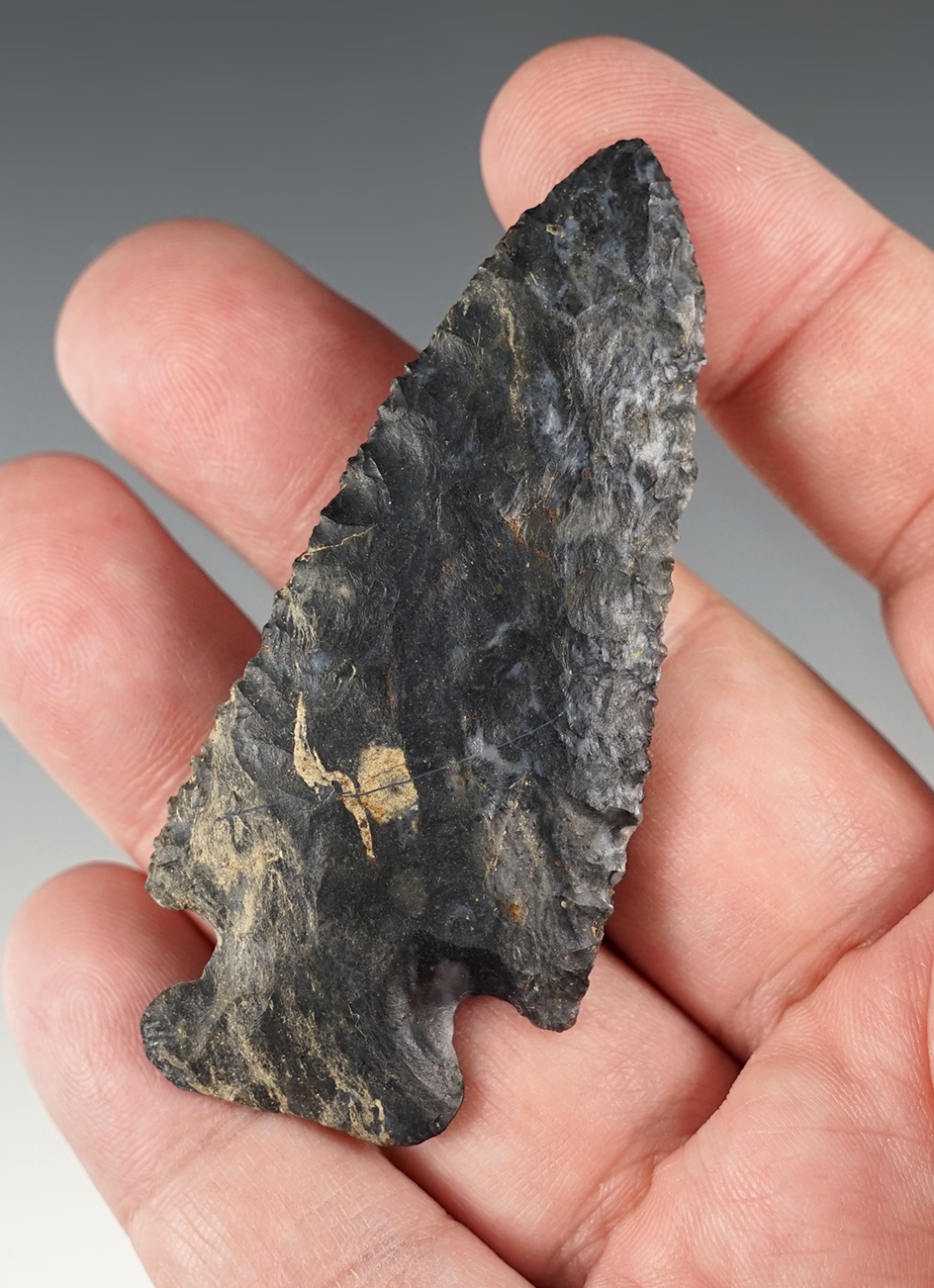 2 7/8" Multi-colored Coshocton Cornernotch Point found in Richland Co., Ohio.