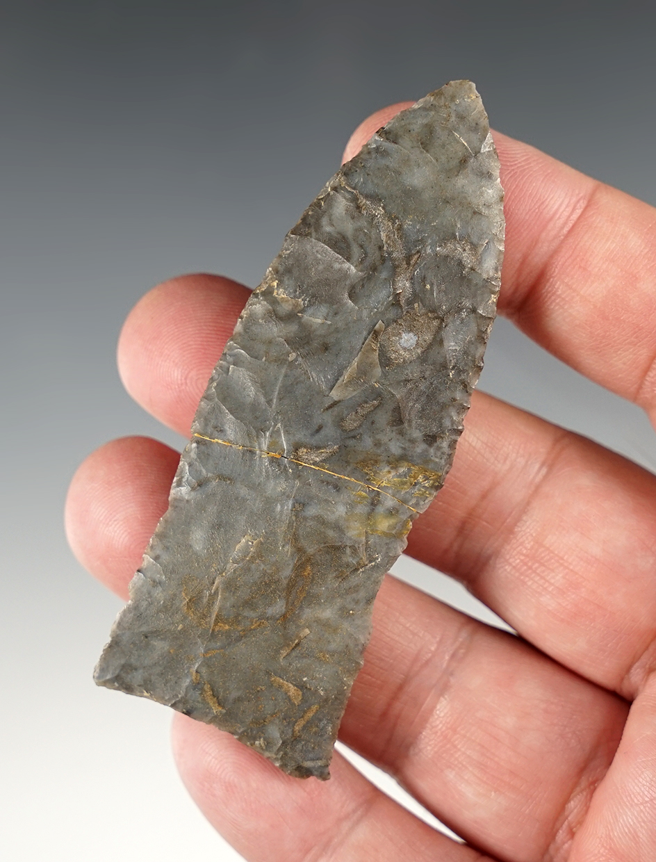 Thin 2 15/16" Copena found by J.R. Dalton in Pulaski Co., Kentucky. Broken and glued in the middle.