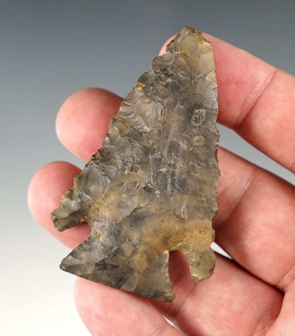 Well patinated 2 5/8" Archaic Bevel found in Holmes Co., Ohio. Ex. J. Morris.