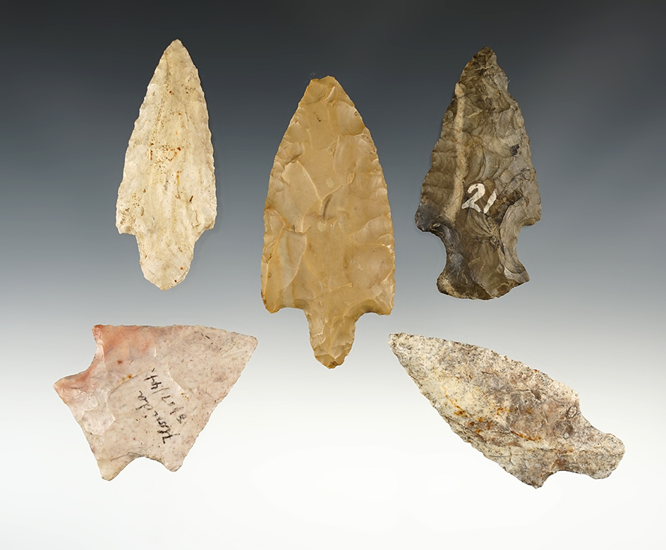 Set of 5 nicely made points found in various locations. The largest is 3 1/4".