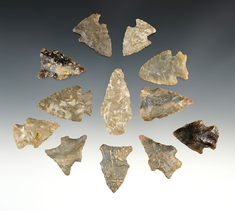 Set of 12 points found by J.R. Dalton in Pulaski Co., Kentucky. The largest is 1 13/16".
