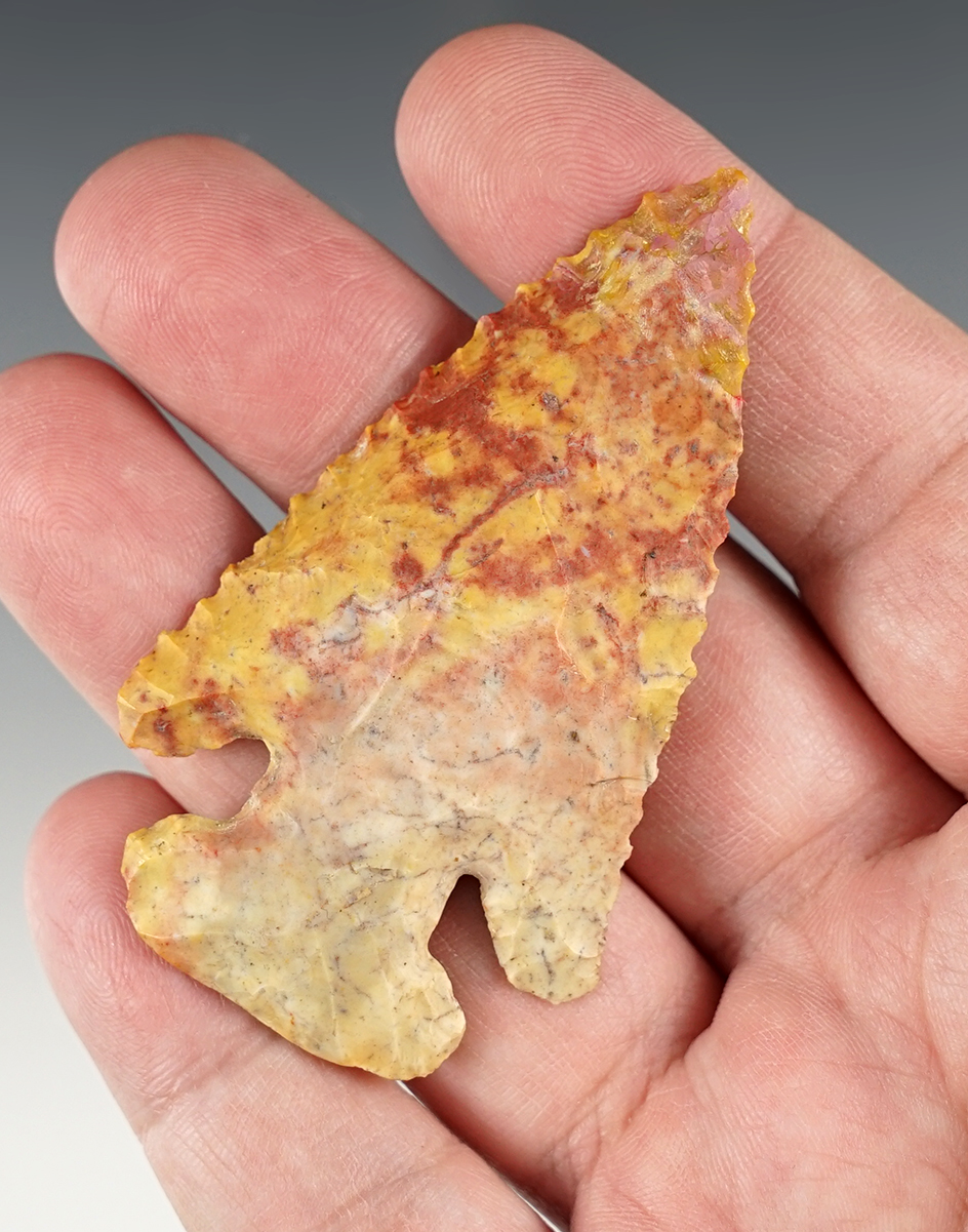 Amazing color-2 3/4" Beveled Thebes point. About 1/2" of the tip restored.  Licking Co., Ohio.