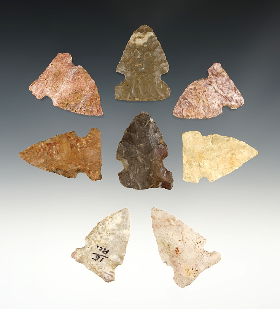 Set of 8 well patinated Side Notched points found by J.R. Dalton in Pulaski Co., Kentucky.