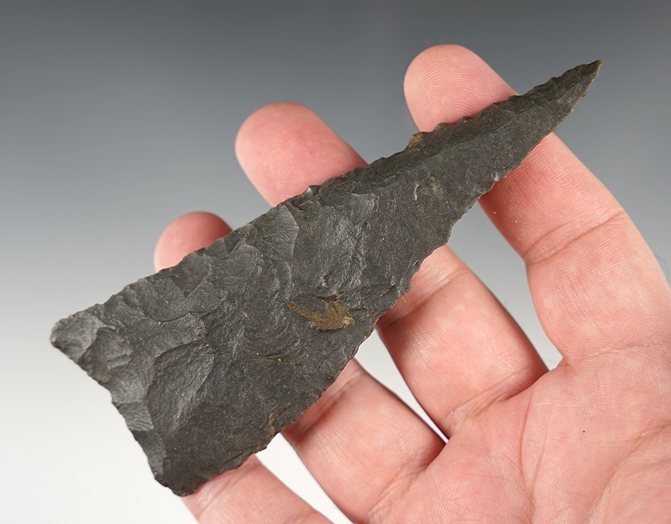 Outstanding 4 11/16" heavily beveled Knife found in Ohio.