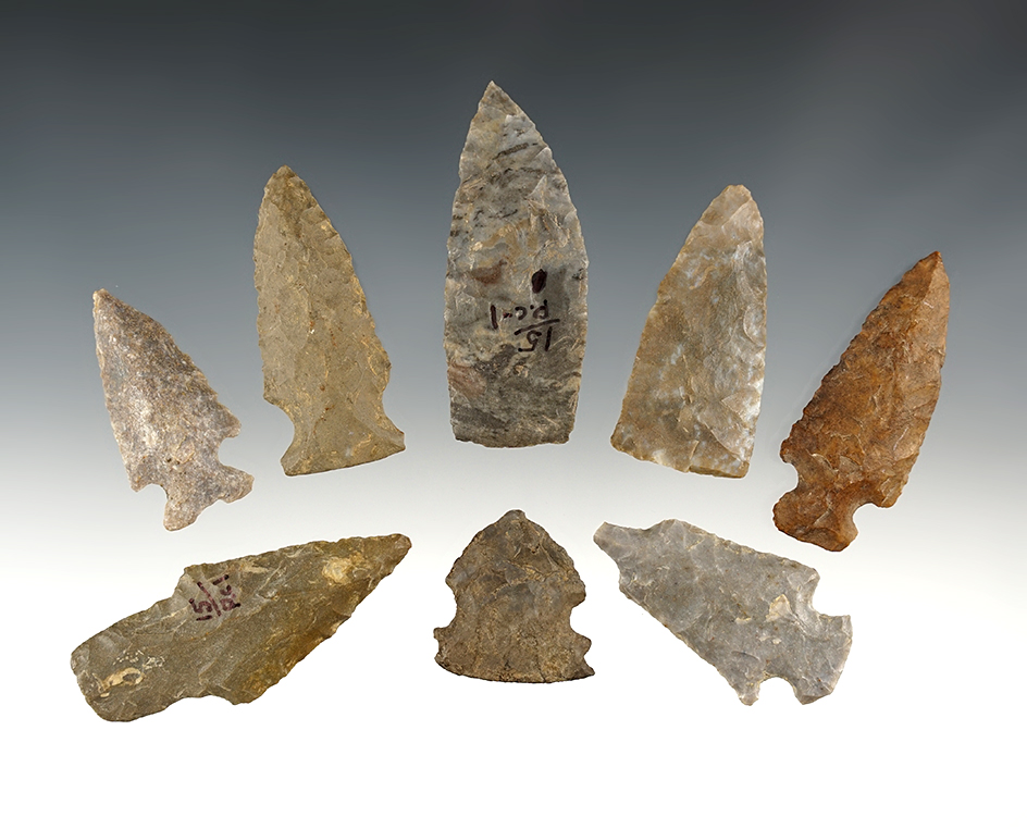 Set of 8 assorted points found by J.R. Dalton in Pulaski Co., Kentucky. The largest is 2 1/2".