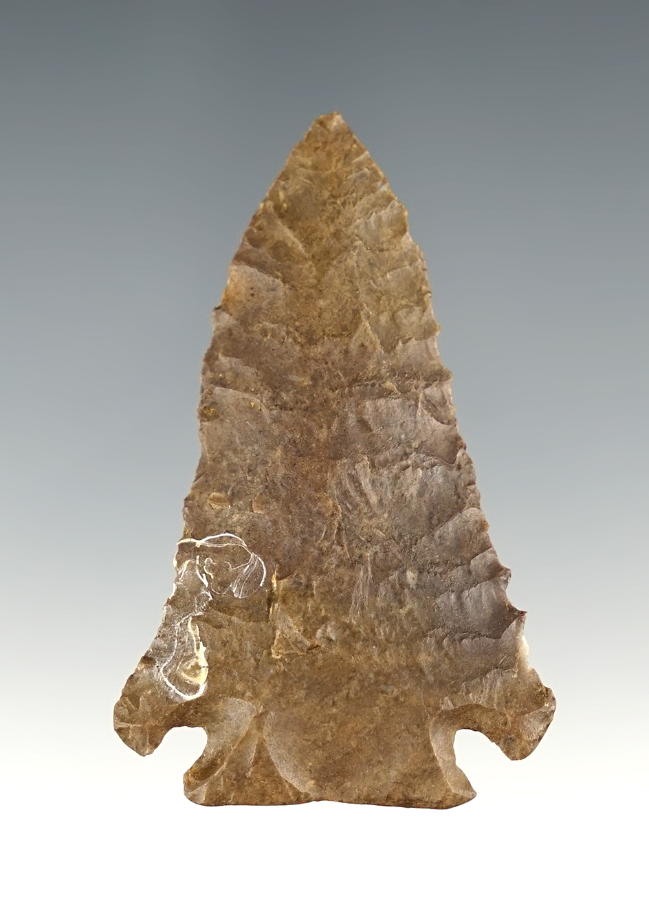 Fine 2 1/16" Pinetree found in Hardin Co., Tennessee. Nice edgework and good grinding to the base.