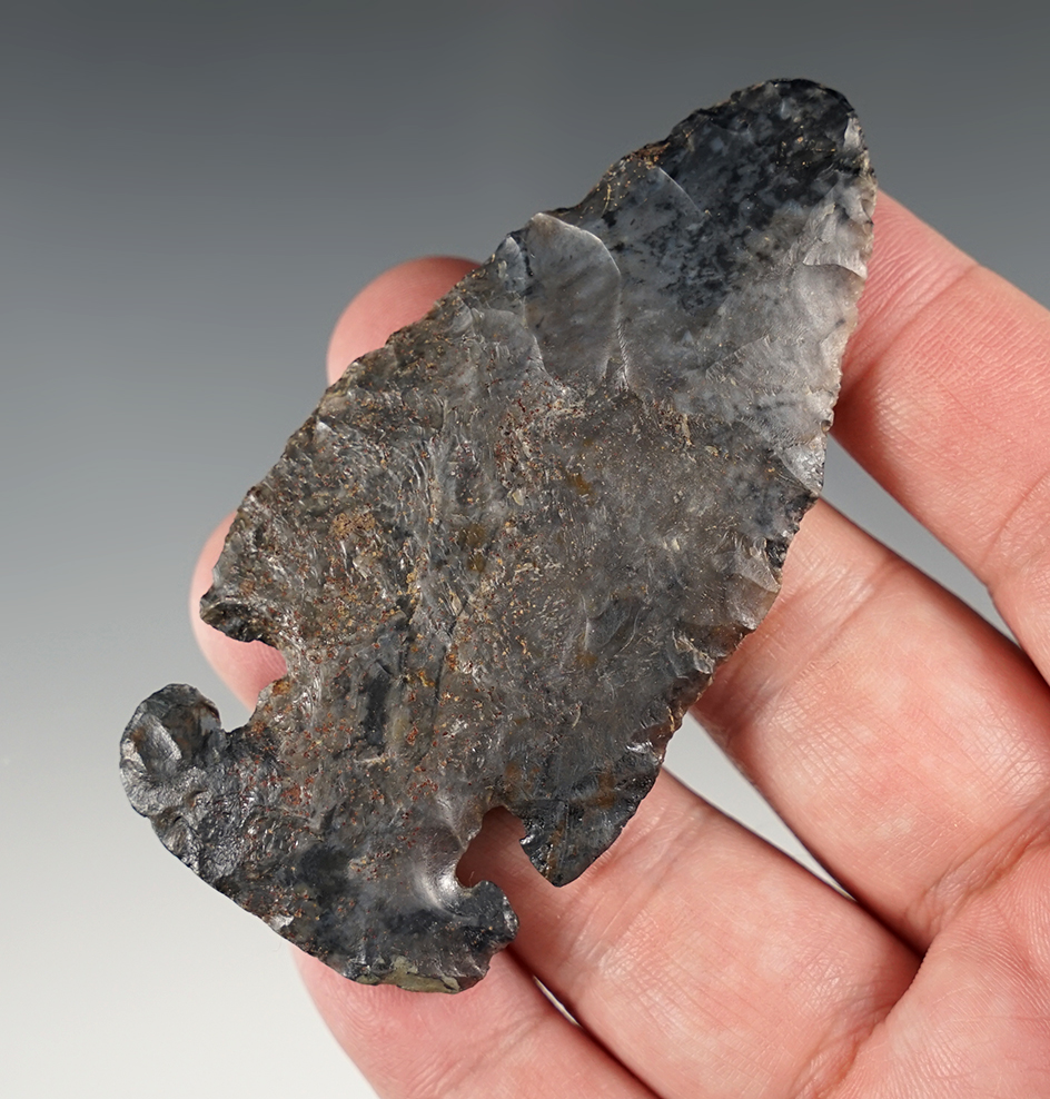 Classic style 3 5/16" Ohio Thebes E-Notch. One ear and base corner have been restored. Ex. Hooks