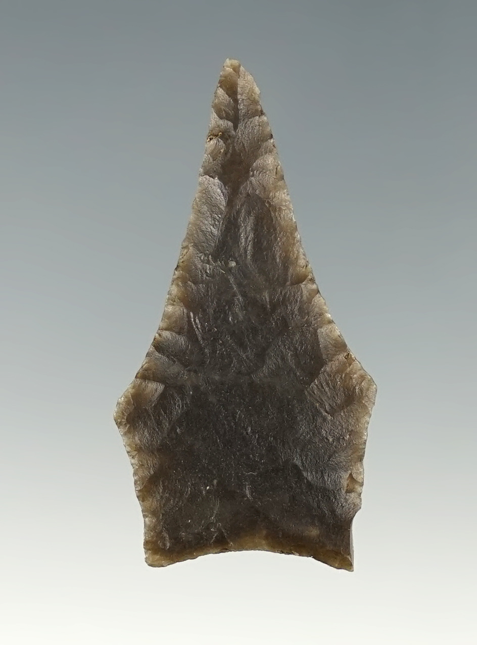 Thin 1 1/2" Jacks Reef Pentagonal that is incredibly thin and well made. Found in Tennessee.