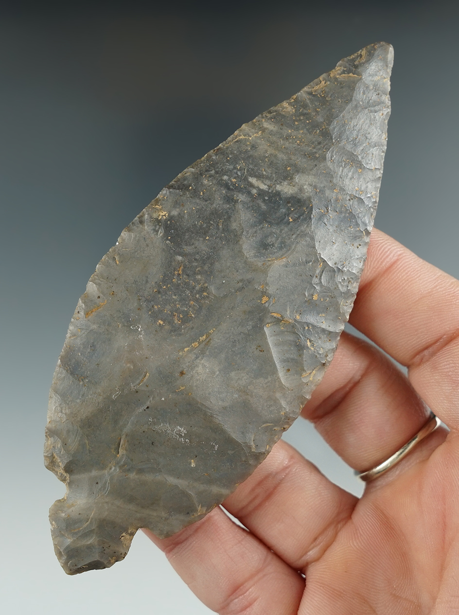 4 1/4" Beautifully flaked Hornstone Turkeytail found in DeKalb Co., Illinois.