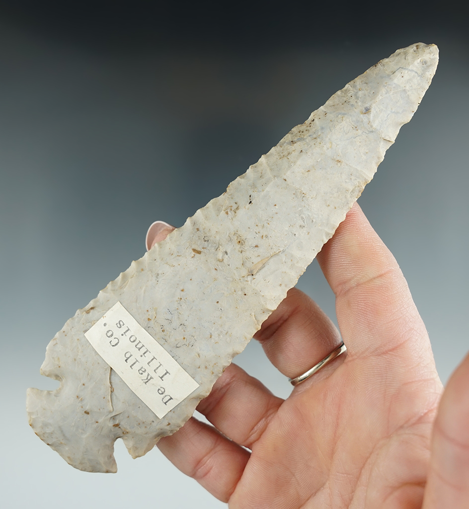 Nice! Large 5 7/8" Dovetail with nicely Beveled edges found in DeKalb Co., Illinois.