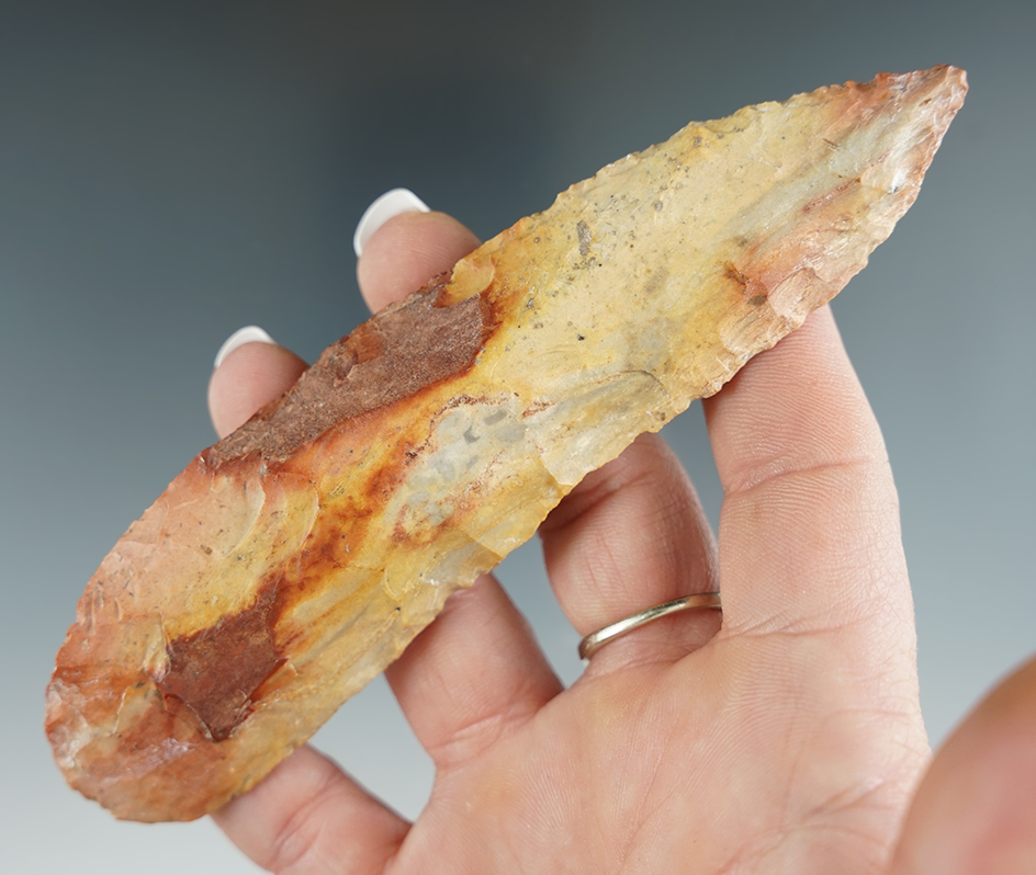 5 1/4" Beautifully multi-colored Archaic curved Blade. Found in Southern Illinois.