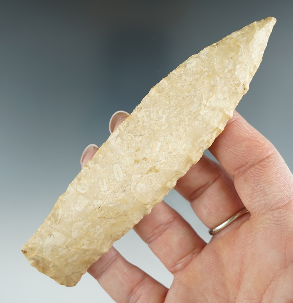 5" Lanceolate found in Humphreys Co., Tennessee.