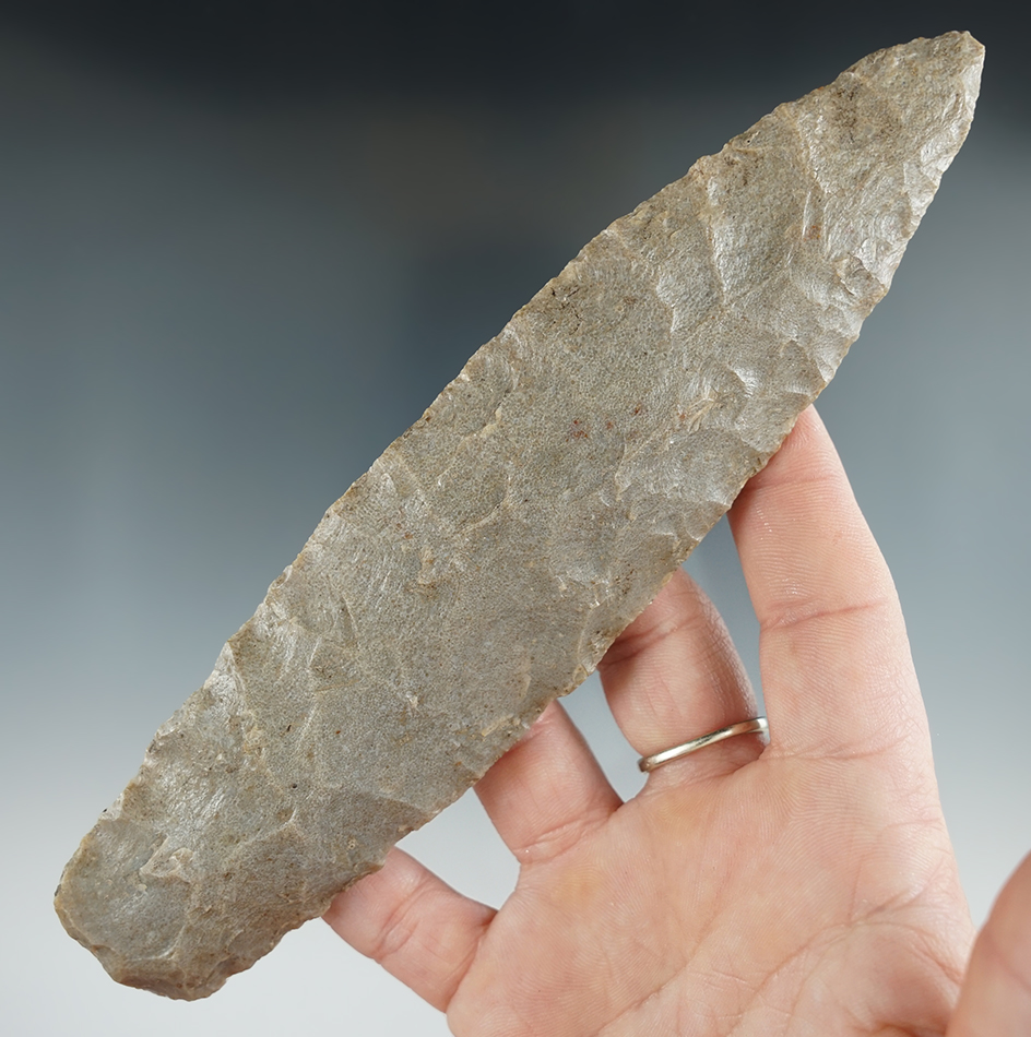 Large 7" Lanceolate found in Illinois.